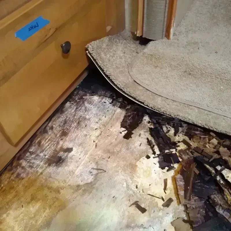 Wood Floor Water Damage in Cicero, IN